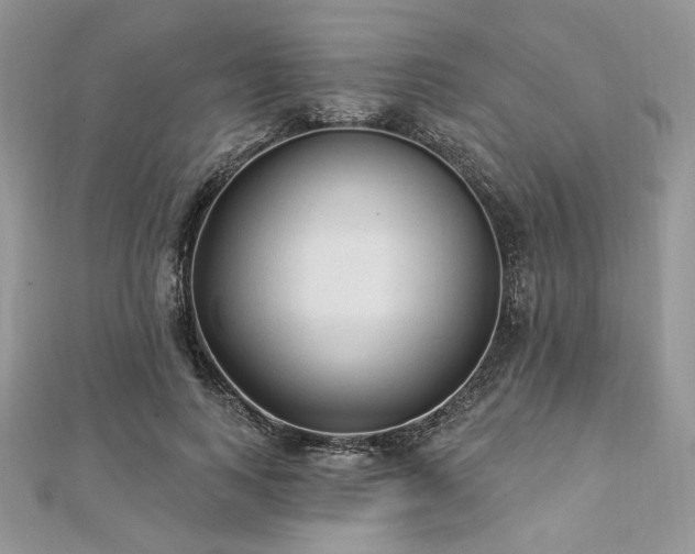 X0000112820743200908211205