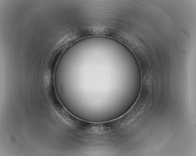 X0000112820744200908211205