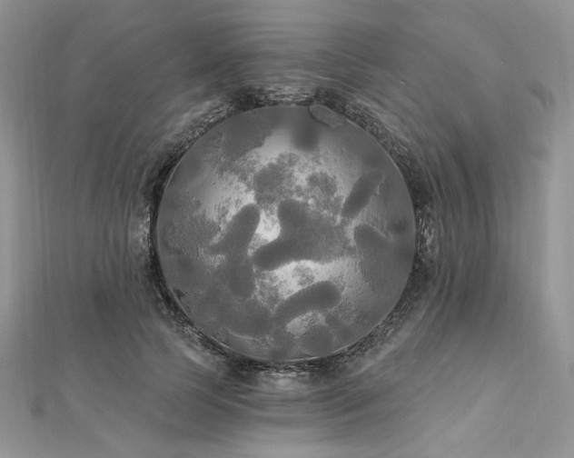 X0000112820745200908211205