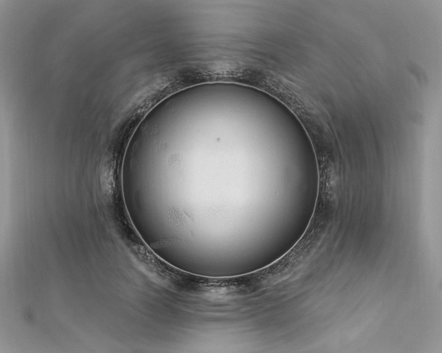 X0000112820746200908211205