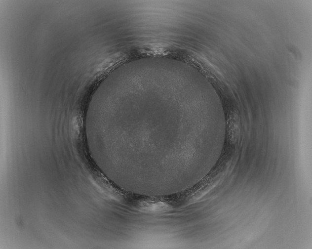 X0000112820747200908211205