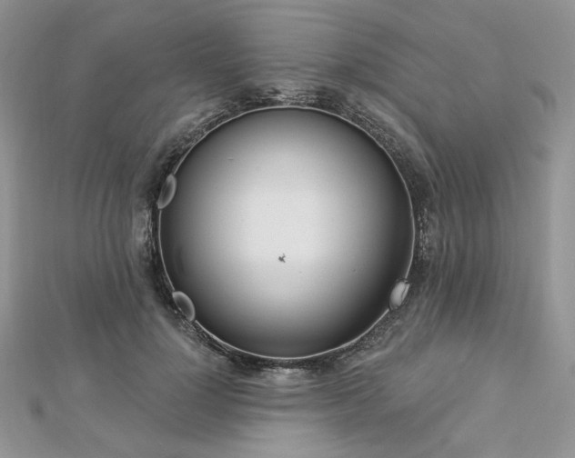 X0000112820748200908211205