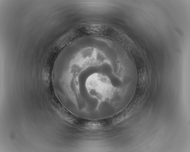 X0000112820749200908211205