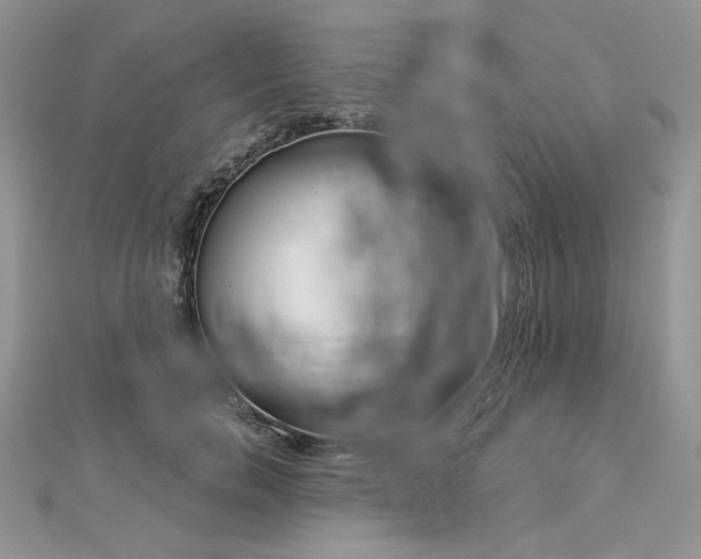 X0000112820750200908211205