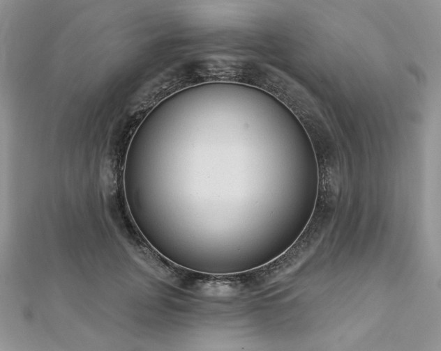 X0000112820751200908211205