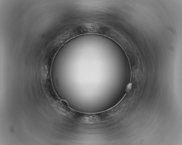 X0000112820752200908211205