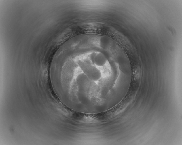 X0000112820753200908211205