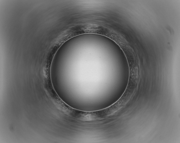 X0000112820755200908211205