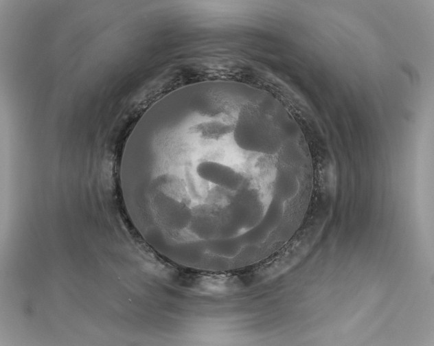 X0000112820757200908211205