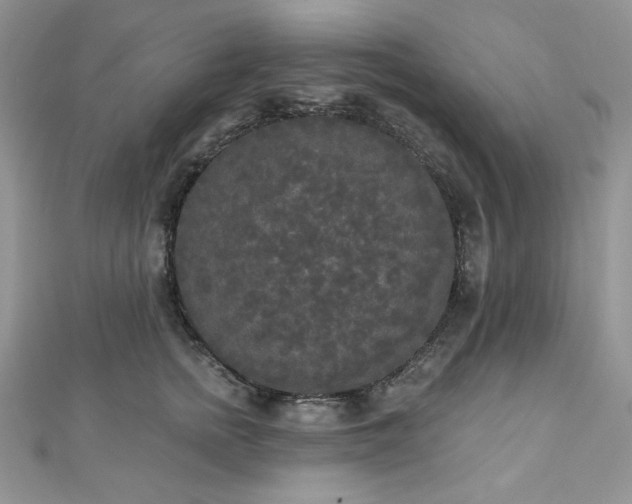 X0000112820758200908211205