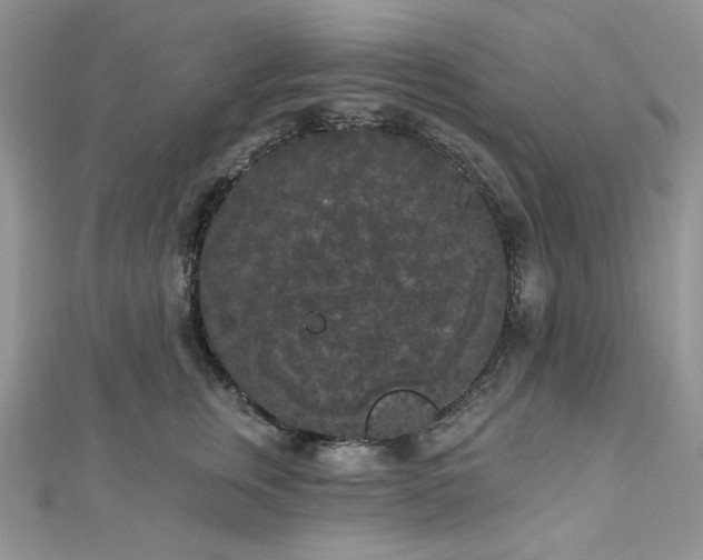 X0000112820759200908211205
