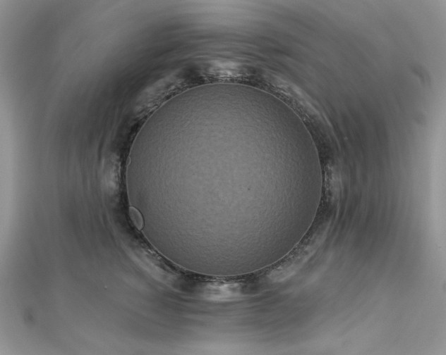 X0000112820760200908211205