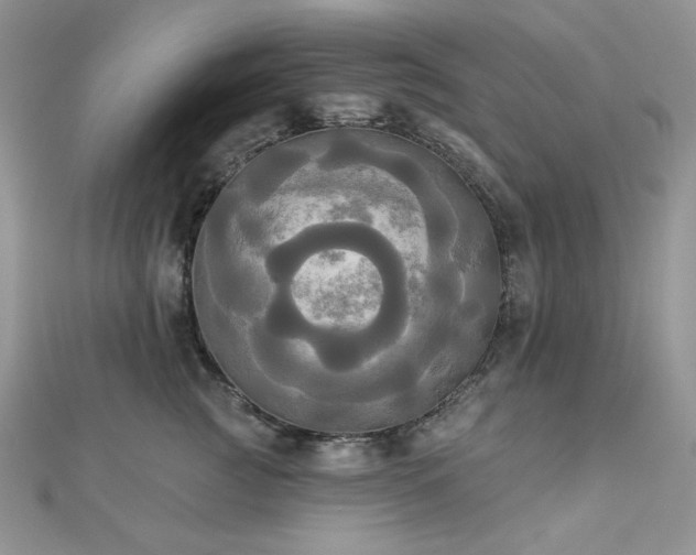 X0000112820761200908211205