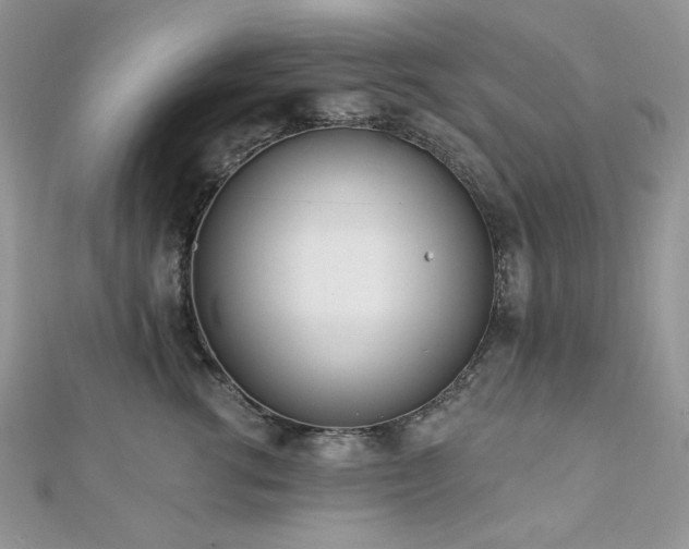 X0000112820762200908211205