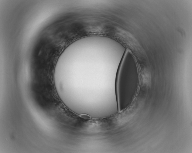 X0000112820764200908211206