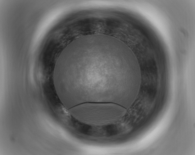 X0000112820766200908211206
