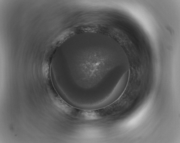 X0000112820767200908211206