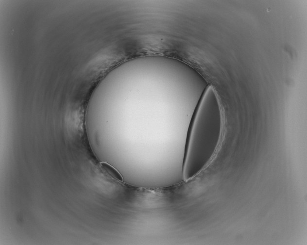 X0000112820768200908211206