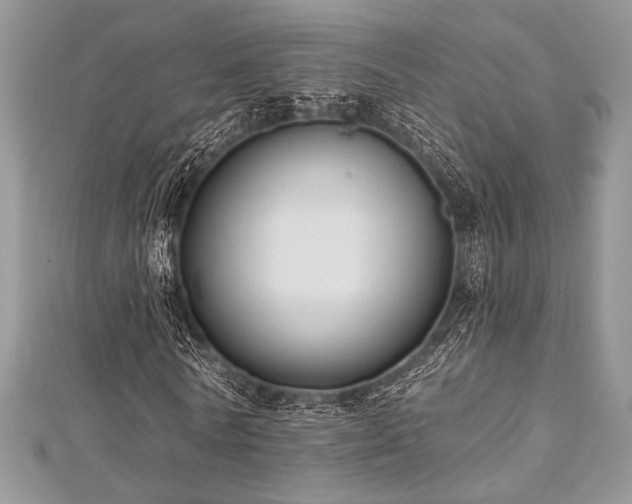 X0000112820770200908211205