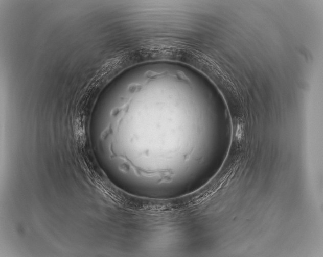X0000112820771200908211205