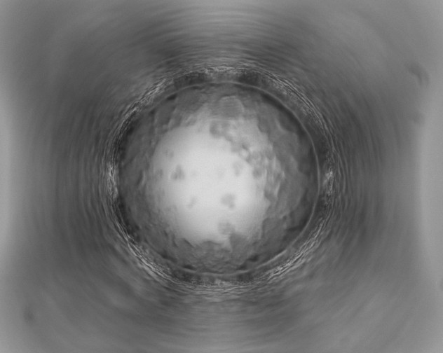 X0000112820772200908211205