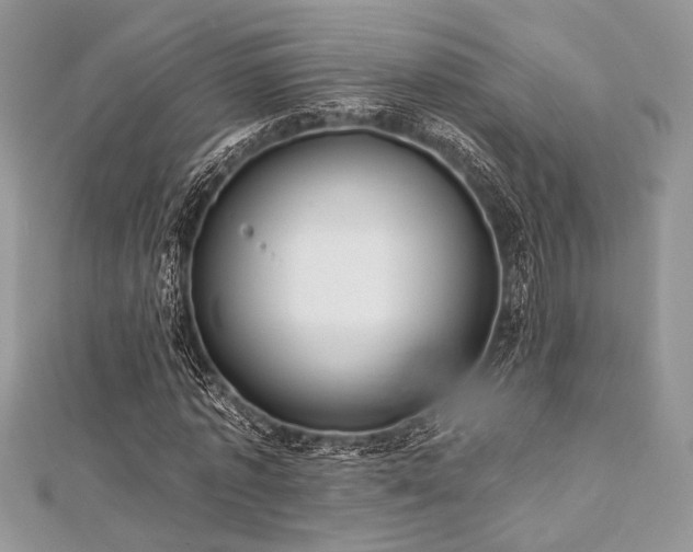 X0000112820773200908211205