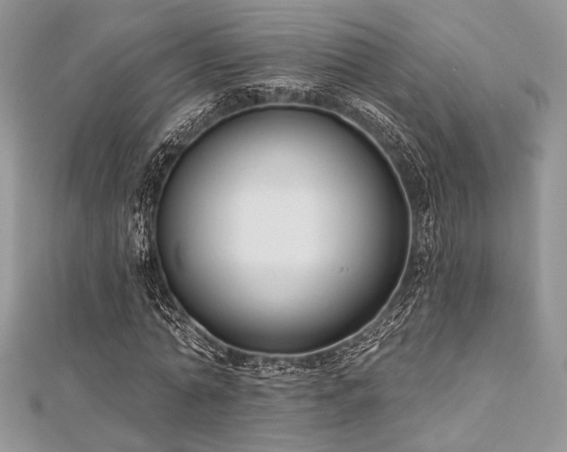X0000112820774200908211205