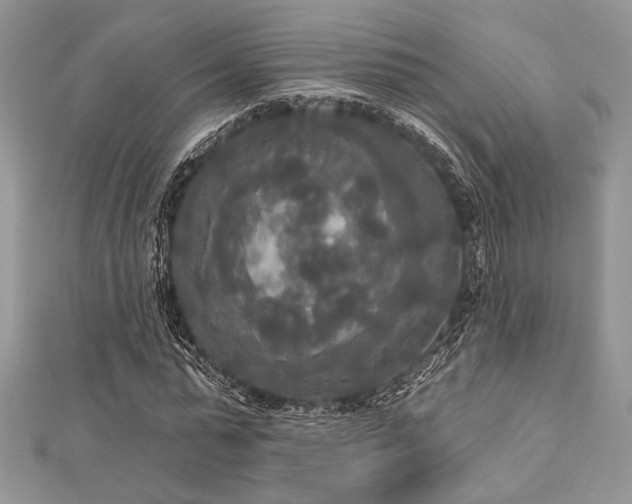 X0000112820775200908211205