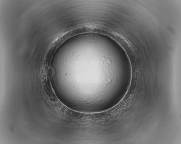 X0000112820776200908211205