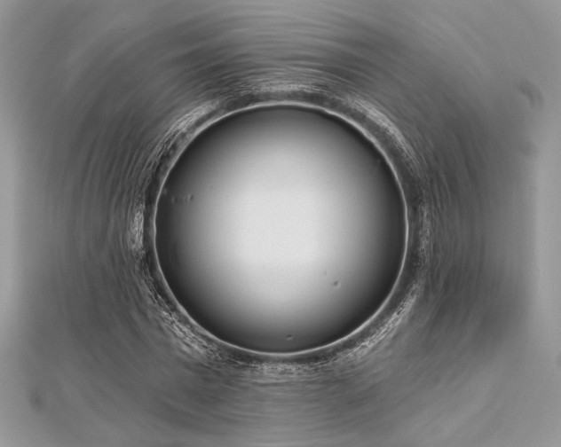 X0000112820777200908211205