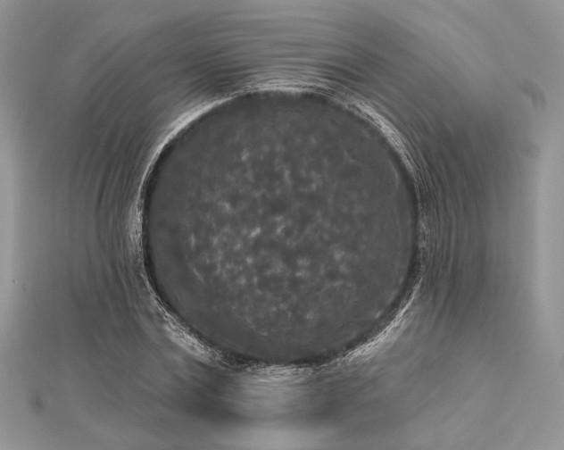 X0000112820779200908211205