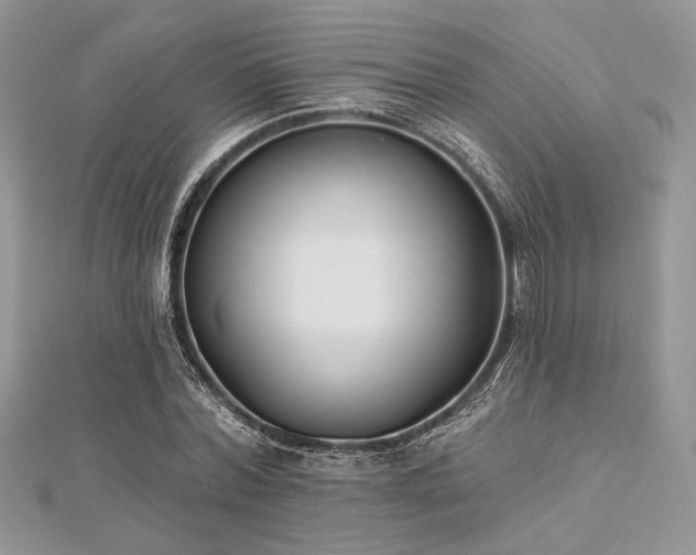 X0000112820780200908211205