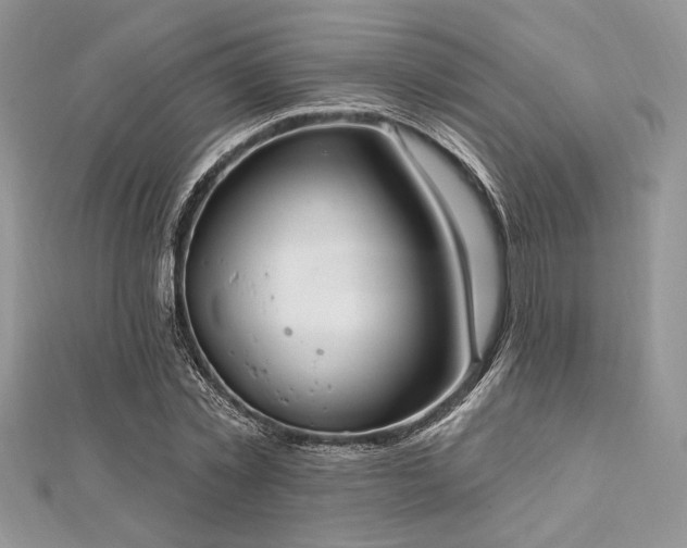 X0000112820781200908211205