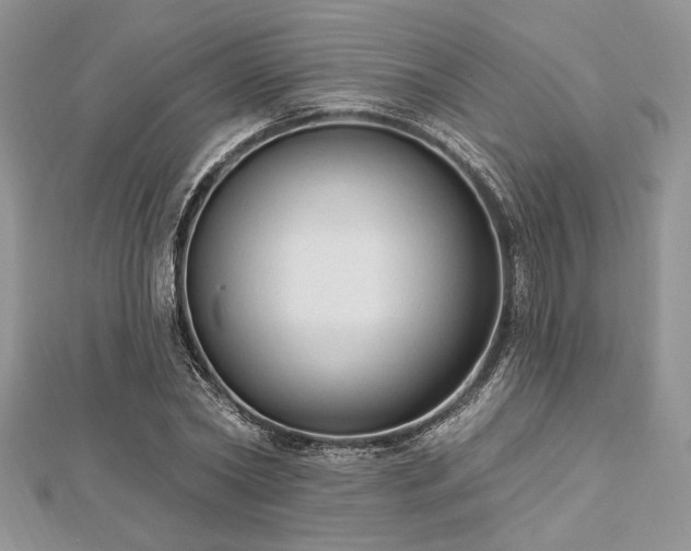 X0000112820782200908211205