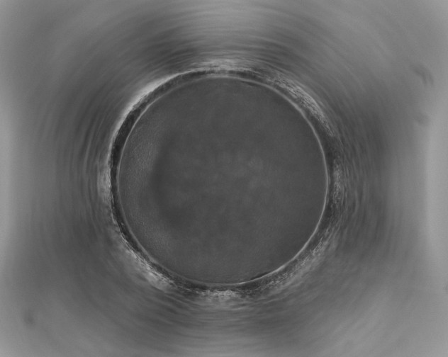 X0000112820784200908211205