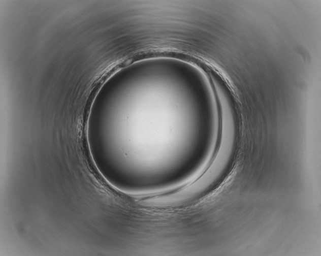X0000112820785200908211205