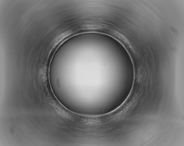 X0000112820786200908211205