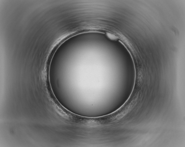 X0000112820787200908211205