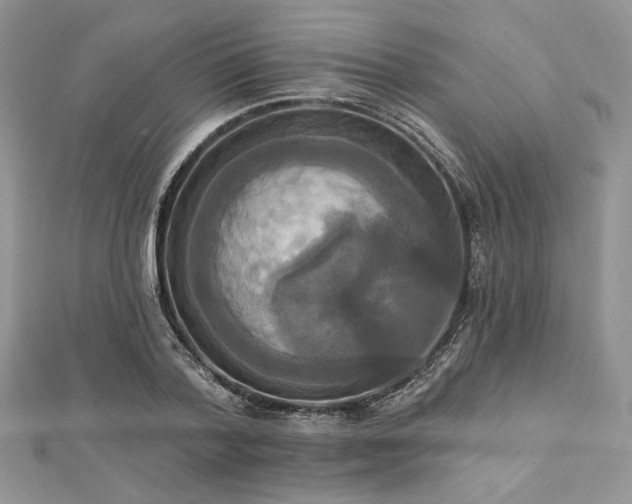 X0000112820788200908211205