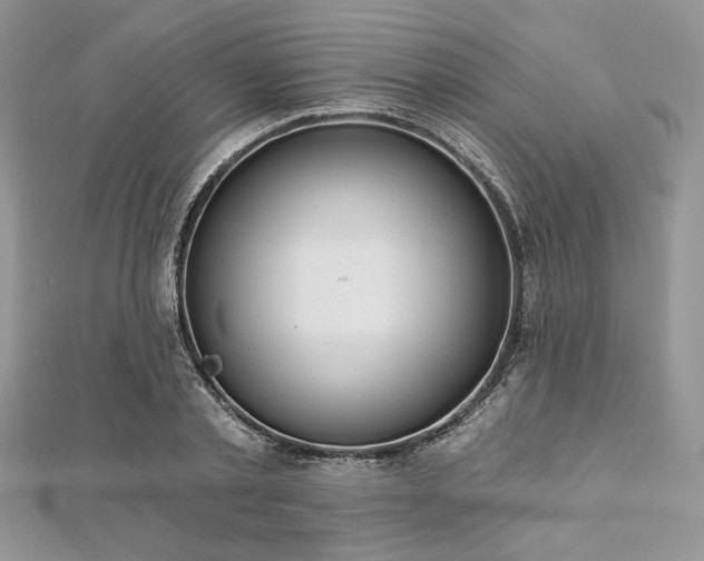 X0000112820789200908211205