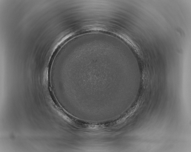 X0000112820790200908211205