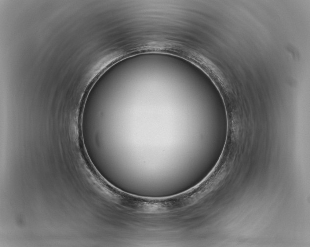 X0000112820794200908211205