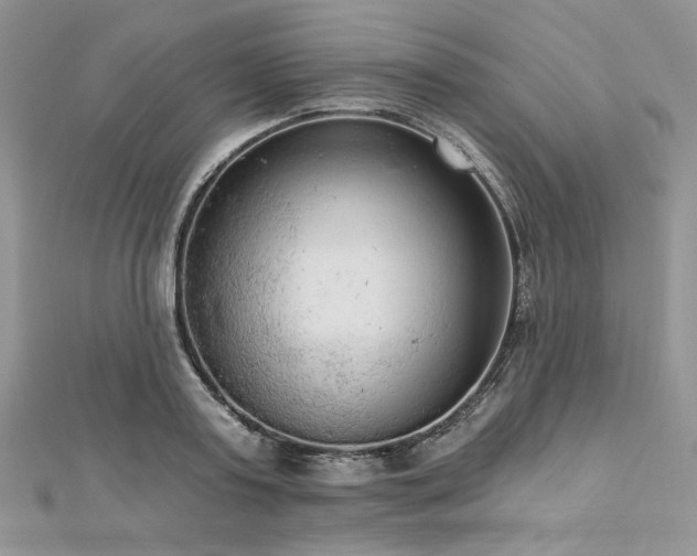 X0000112820795200908211205
