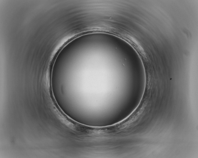 X0000112820796200908211205