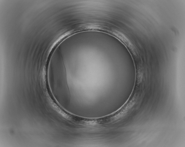 X0000112820798200908211205