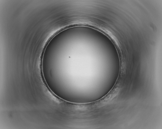 X0000112820799200908211205