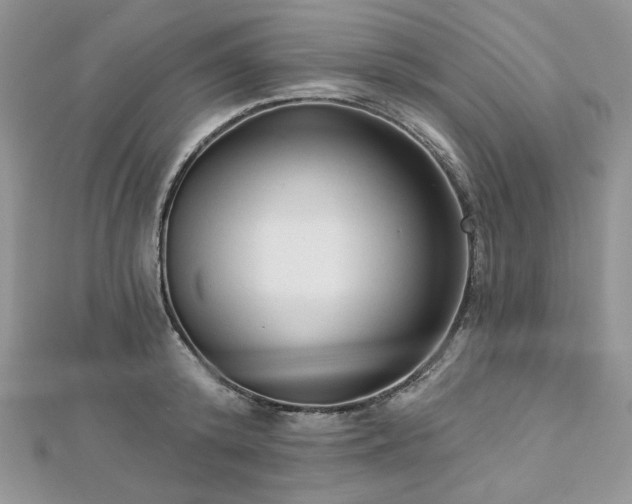 X0000112820800200908211205