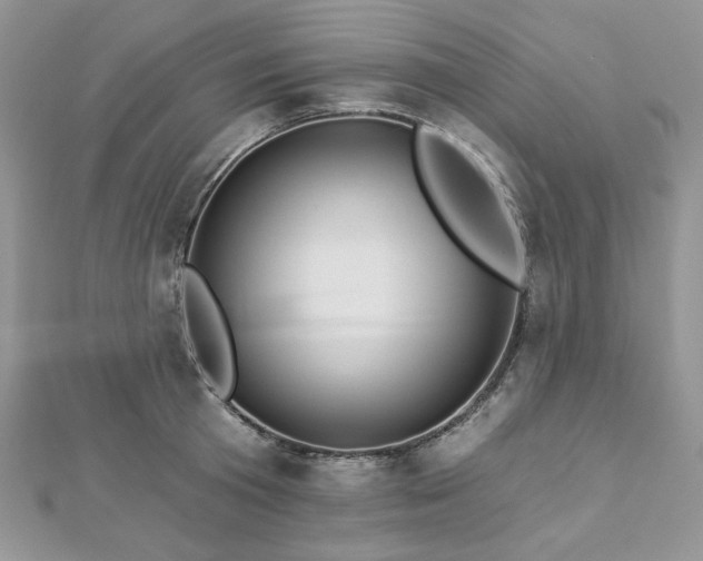 X0000112820801200908211205