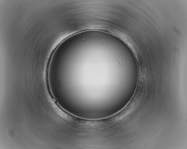 X0000112820803200908211205