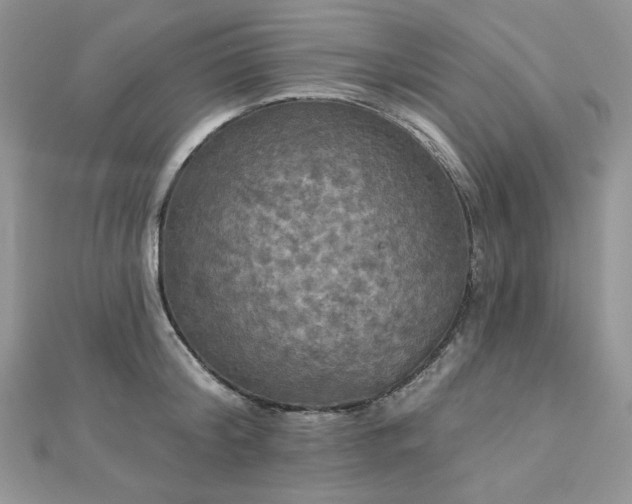 X0000112820804200908211204